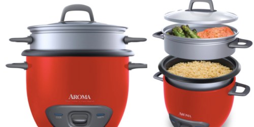 Amazon: Aroma 6-Cup Pot Style Rice Cooker and Food Steamer Only $16.99 (Reg. $24.99)