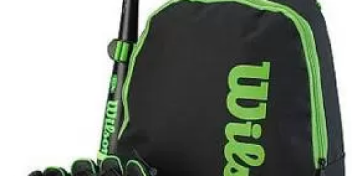 Walmart: Wilson Tee Ball Bat, Glove AND Bat Bag ONLY $19.49 (Regularly $29.99)