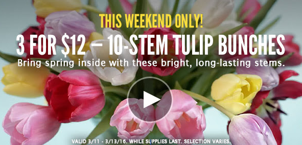 10-Stem Tulip Bunches on sale for 3 for $12