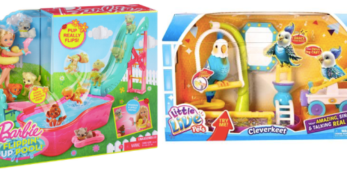 Target Cartwheel: 50% Off Barbie Flippin’ Pup Pool Playset & Little Live Pets Cleverkeet