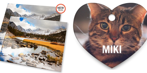 Shutterfly: Free 16X20 Print OR Personalized Pet Tag (Just Pay Shipping) – Last Day