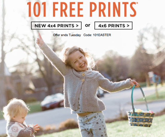 Shutterfly FREE Photo Prints