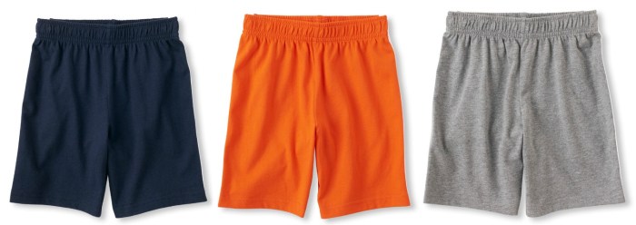 Toddler Boys Active Jersey Shorts