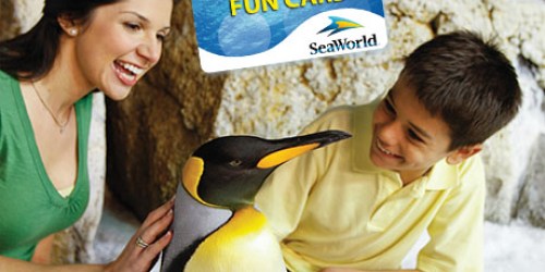 SeaWorld: FREE Unlimited Admission Fun Card + 3 FREE Single-Day Tickets for Teachers