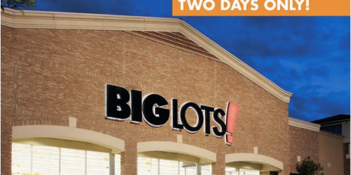 Big Lots: 20% Off Purchase (This Weekend Only)