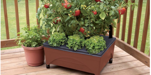 Home Depot: Patio Raised Garden Bed with Watering System Only $19.88 (Reg. $29.97)