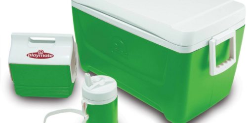 Walmart: Igloo 48-Quart Cooler, Mini Cooler AND 1-Quart Jug ONLY $24 (Regularly $39)