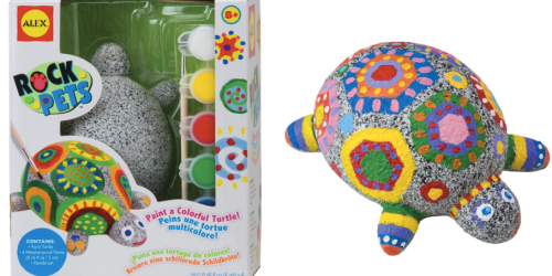 Amazon: ALEX Toys Craft Rock Pets Turtle Only $7.80 (Regularly $13)