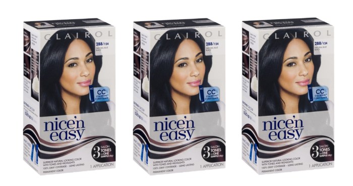 1. Clairol Nice 'n Easy Permanent Hair Dye in Blue Black - wide 10