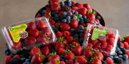Target: Driscoll’s Berries Only $1.50 Per Pack