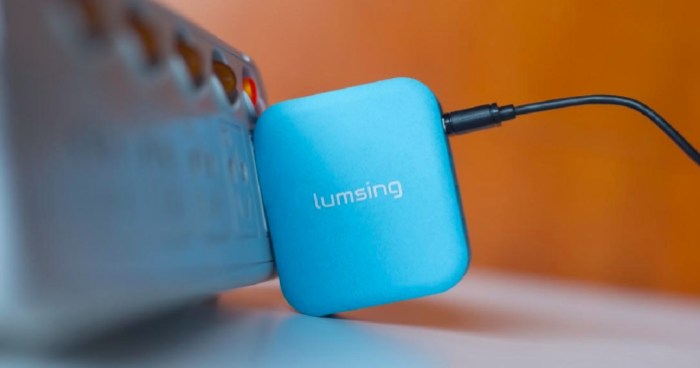 Lumsing Charger
