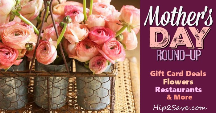 Mother's Day Round-Up Hip2Save