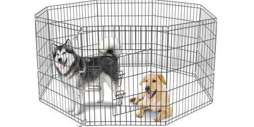 80% Off Select Pet Yards = 36″ Play Yard Only $34.38 Shipped (Regularly $129.95)