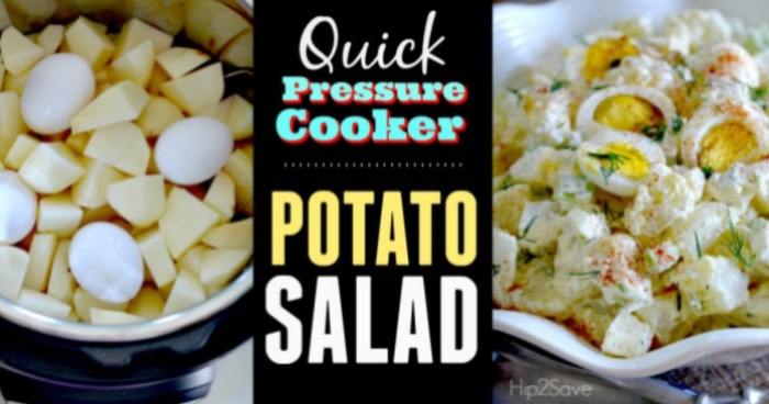 Quick Pressure Cooker Salad by Hip2Save.com