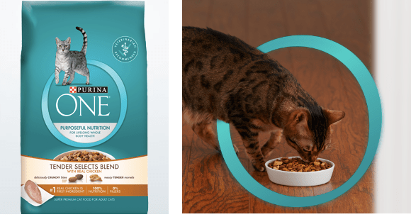 Free Purina One Chicken Tender Cat Food Sample Hip2save