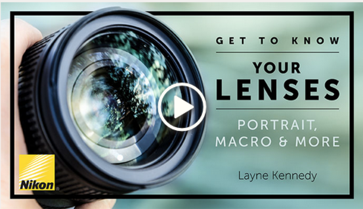 Get to Know Your Lenses - Portrait, Macro & More