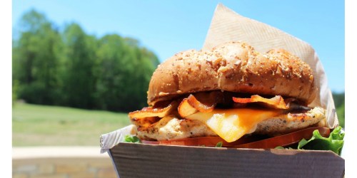 Chick-fil-A: FREE Chicken Sandwich (Just Download Free App)