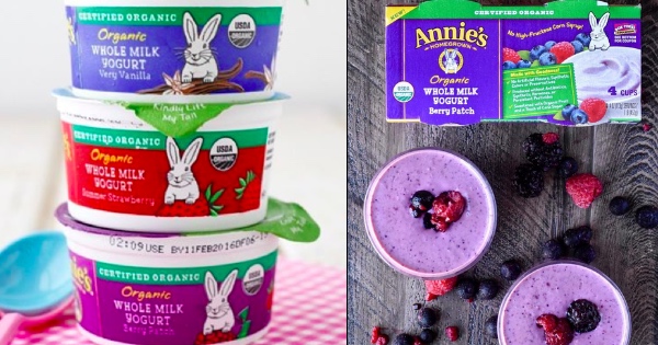 Annie's Organic Yogurt 4-Ct Package