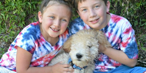 Easy Patriotic Tie-Dye Shirts