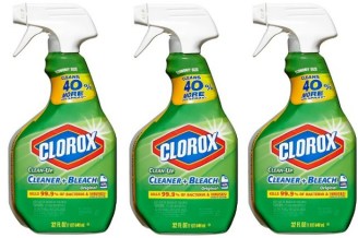 clorox cleanup