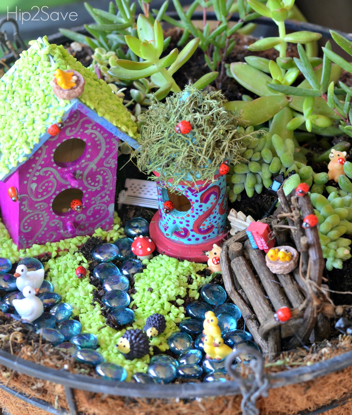 How to Create a Whimsical Fairy Garden - Hip2Save