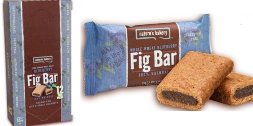 Amazon: Nature’s Bakery Whole Wheat Fig Bars 12-Count Only $5.55 Shipped (46¢ Per Bar!)