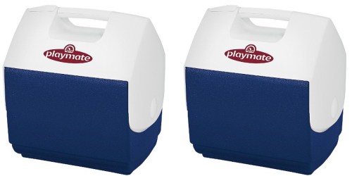 Target Cartwheel: 30% Off Igloo Playmate Coolers = Igloo Playmate Pal Only $10.49 (Regularly $15.79)