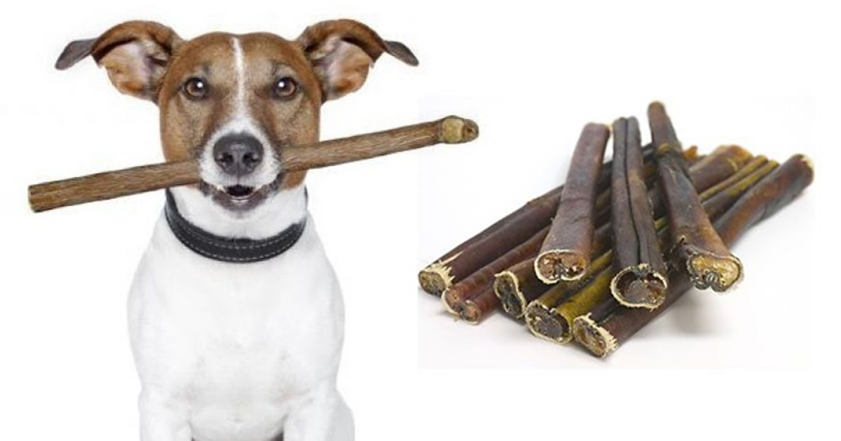 only natural pet bully sticks