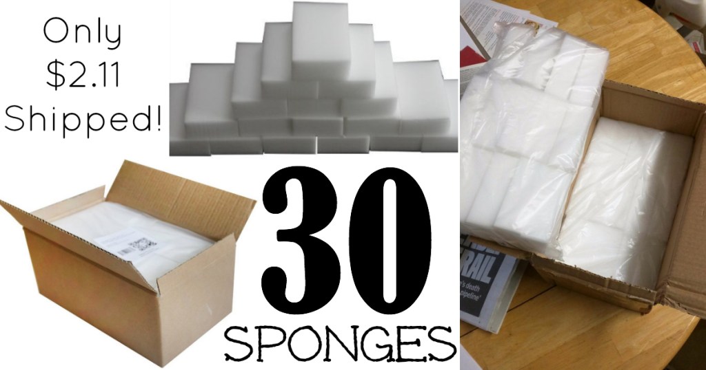 Sponges