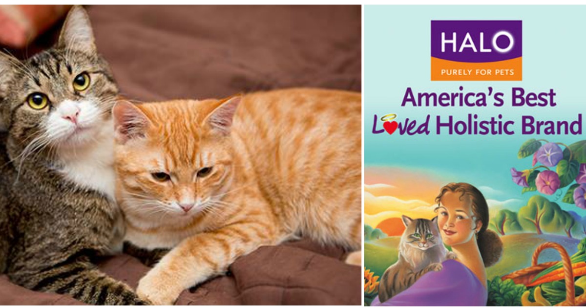 FREE Halo Pets Cat Food Coupon