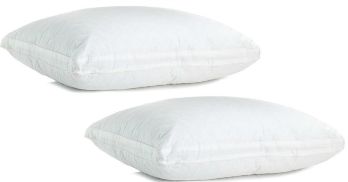 Cannon Quilted Pillow