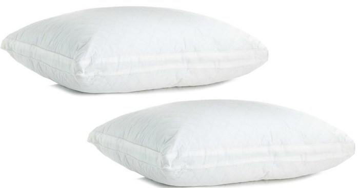 Sears.com: Cannon Quilted Pillow Only $2.97 (Regularly $15.99)