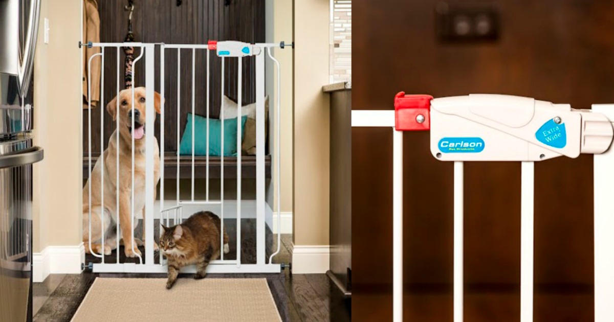 Carlson Extra Tall Pet Gate with Small Pet Door Only 37.99 Shipped