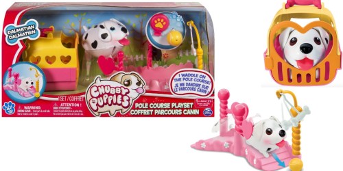 Target.com: Chubby Puppies Pole Course Playset Only $8.50 (Regularly $16.99)