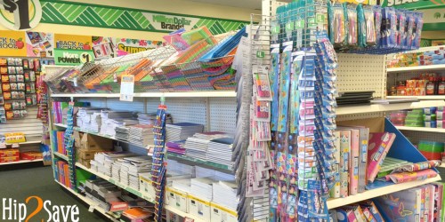 Dollar Tree Reader Finds: $1 National Geographic Flash Cards, Disney Skill Books & More