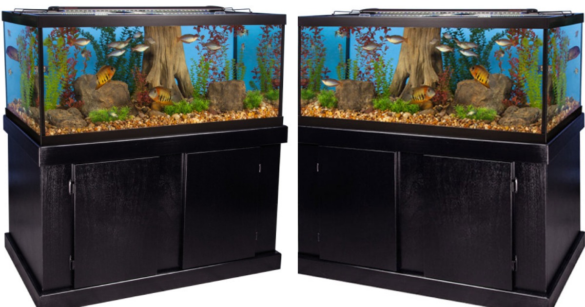 petsmart 75 gallon aquarium stand
