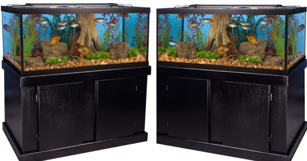 PetSmart Marineland 75Gallon Aquarium Only 299 (Reg. 499)