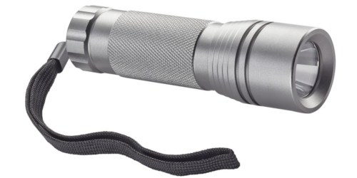 Best Buy: Insignia LED Flashlight Only $3.99 AND LED Clip Light Only $2.99