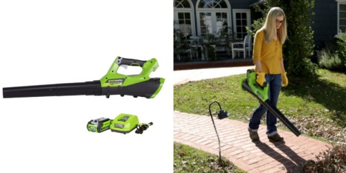 Amazon: GreenWorks G-Max Leaf Blower Only $109.98 Shipped
