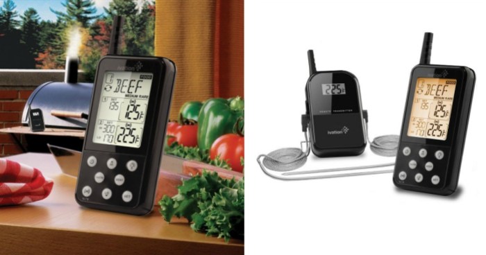Ivation Extended Range Wireless Cooking Thermometer