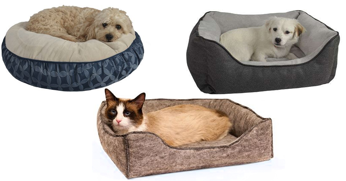 Kohls pet beds best sale