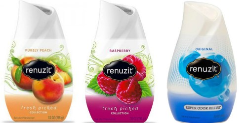 Renuzit Air Freshener Cones ONLY 66¢ at Walgreens & Target