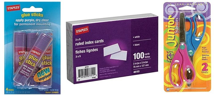 Staples Glue, Index Cards and Scissors