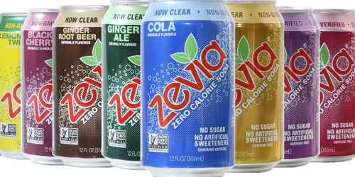 Amazon: Zevia Zero Calorie Soda ONLY 54¢ Per Can Shipped