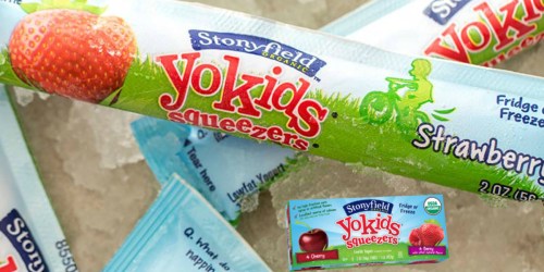 NEW Buy 2 Get 1 FREE Stonyfield Yogurt Coupon = Nice Deal on YoKids Squeezers at Target (Today Only)