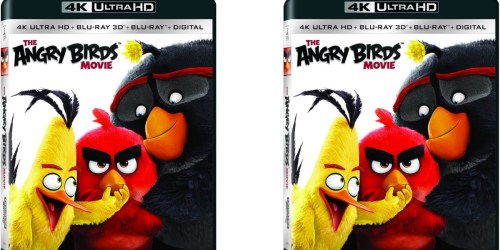 Target: Free $5 Target Gift Card w/ Movie Pre-Orders = Nice Buy on The Angry Birds HD Blu-Ray + DVD