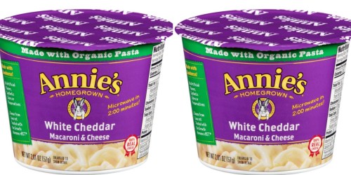 Amazon: 12 Count Annie’s Microwavable Mac & Cheese Cups $8.35 Shipped (Just 70¢ Per Cup)