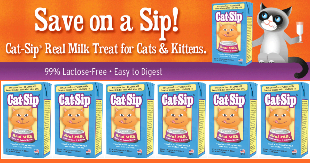 free cat sip real milk treat sample