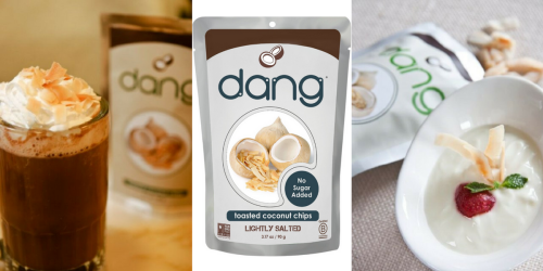 Amazon: Dang Coconut Chips ONLY $2.54 Shipped