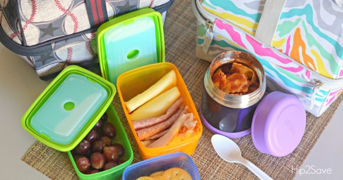 lunch bag that keeps food cold